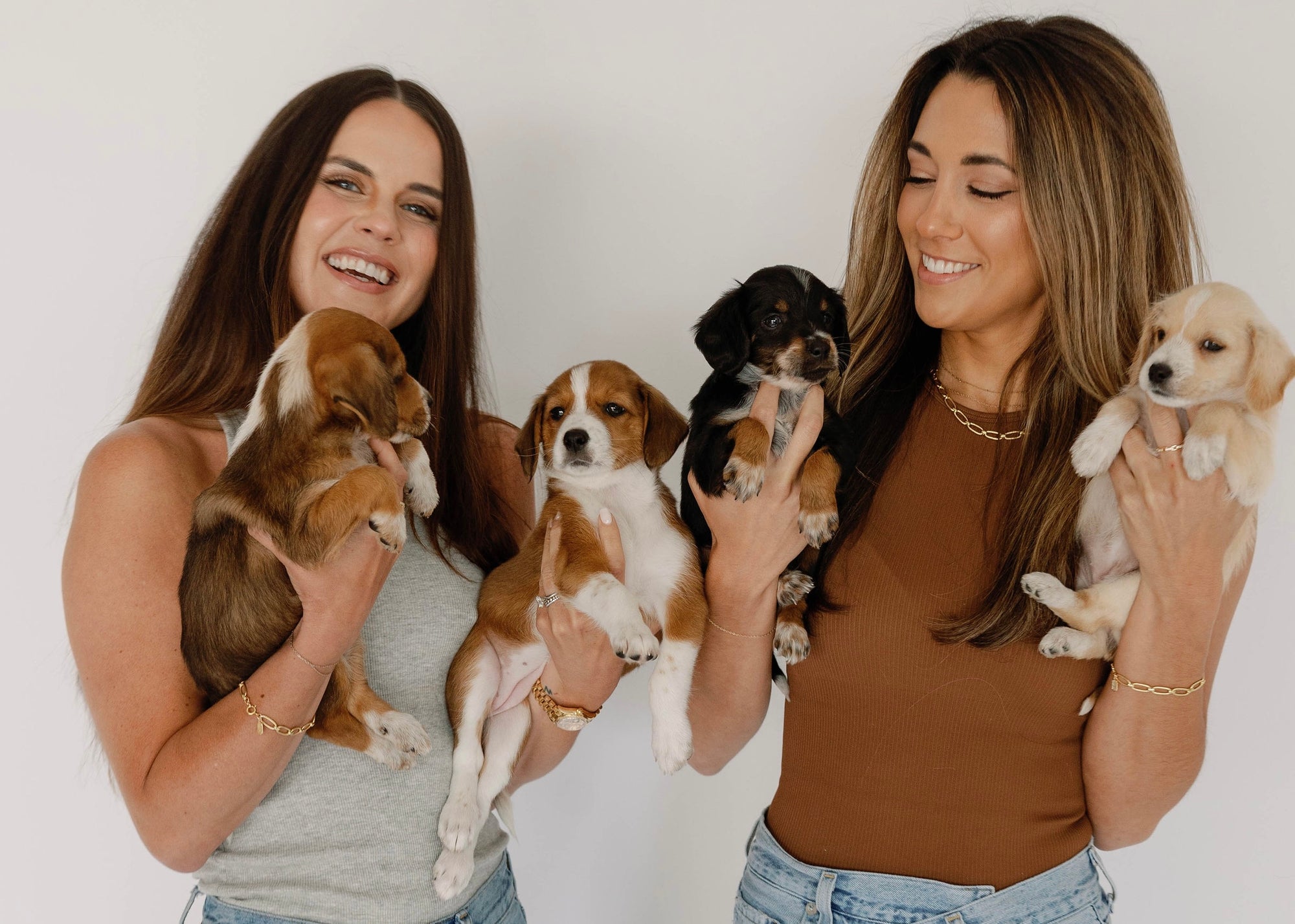 Laura Moll x Wags and Walks